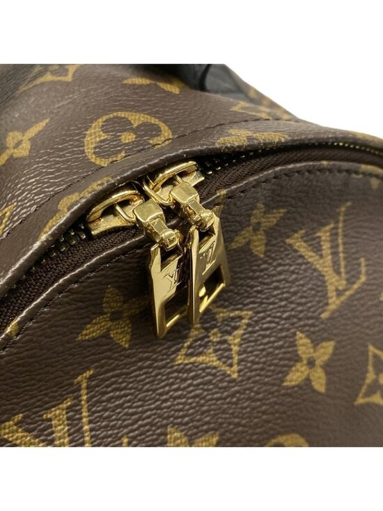 Louis Vuitton Backpack Monogram Reverse Palm Spring PM main image 11